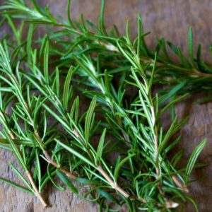 Uma das plantas medicinais que ajudam a digestão.