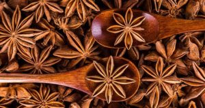 O Anis Estrelado é uma das plantas medicinais que devem ser evitadas na infância.