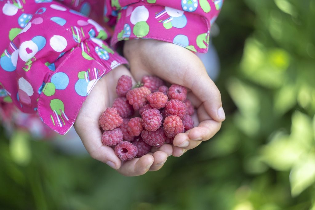 Plantar ervas, flores e plantas faz bem para alma.