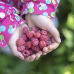 Plantar ervas, flores e plantas faz bem para alma.