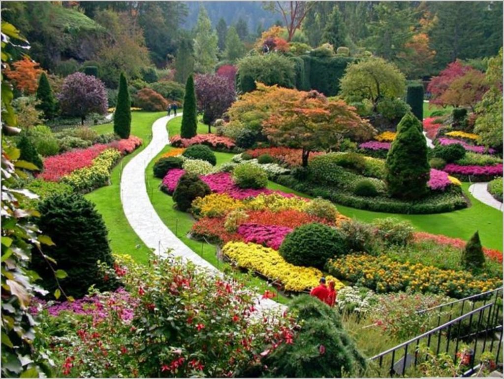 Um jardim terapêutico tem que ter beleza.