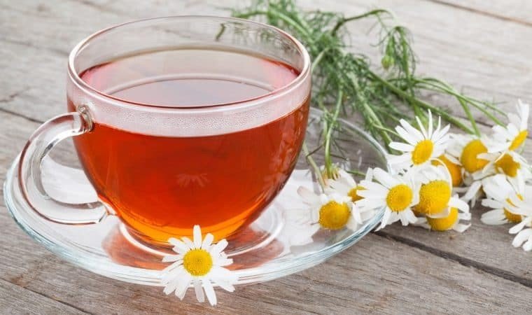 Um jardim terapêutico também deve ser medicinal