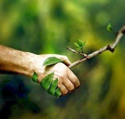 Um jardim terapêutico conversa de mãos dadas com os seres da natureza.