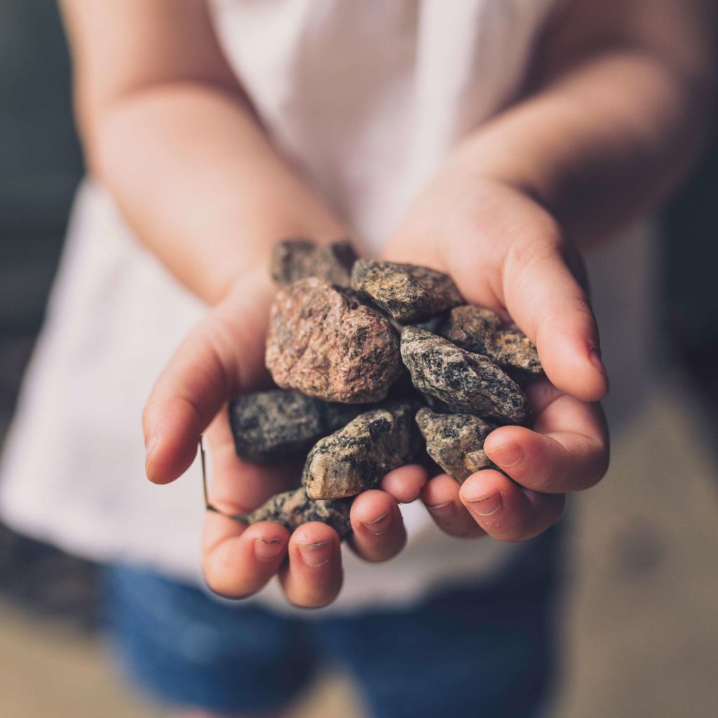 Plantas Medicinais dissolvem cálculos