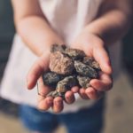 Plantas Medicinais dissolvem cálculos