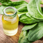 Ervas para Curar Feridas