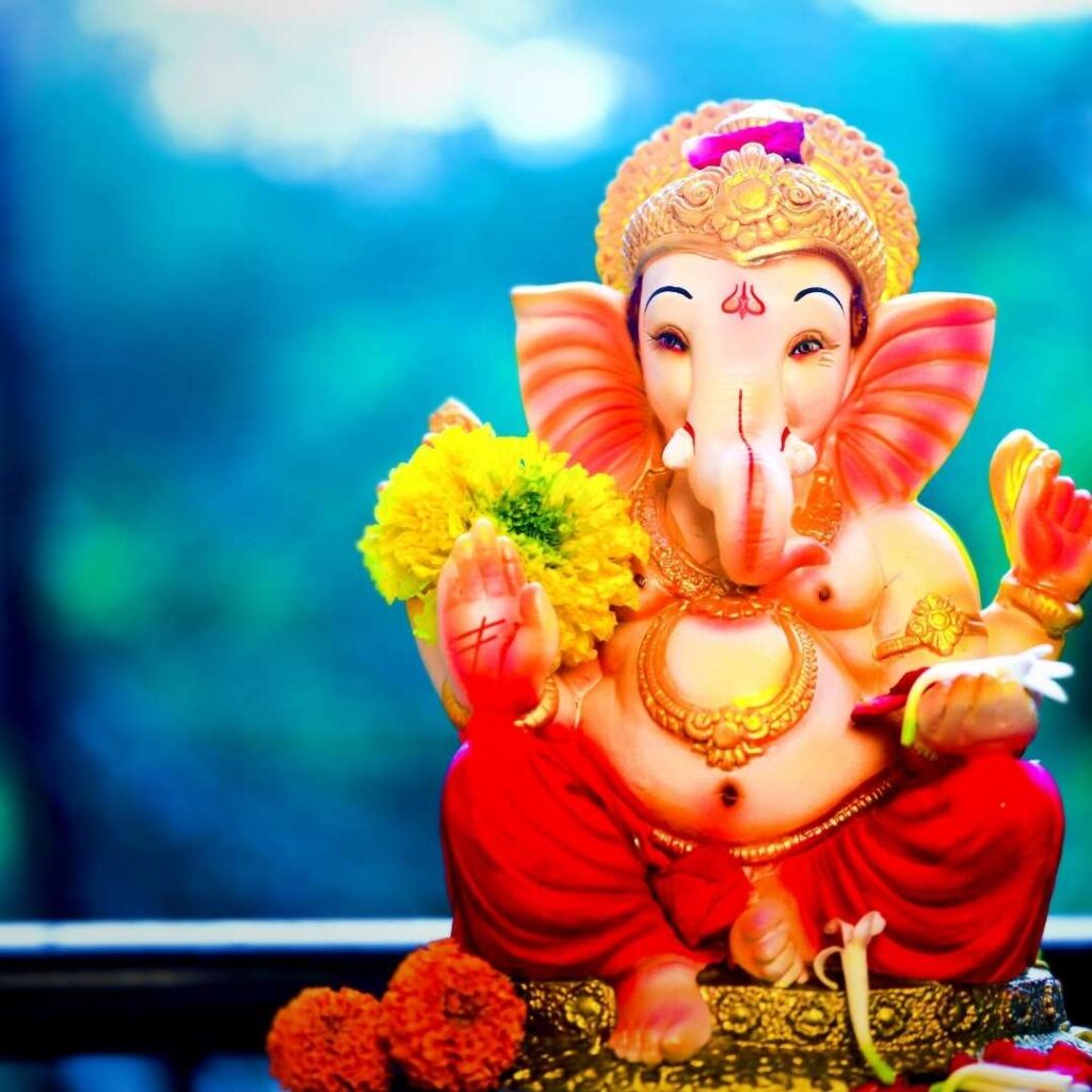 Ervas Remédios Energéticos