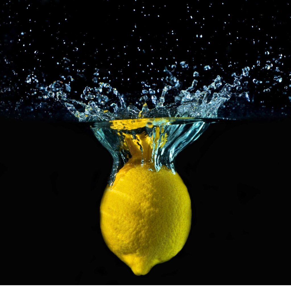 Ervas Medicinais Pescadores