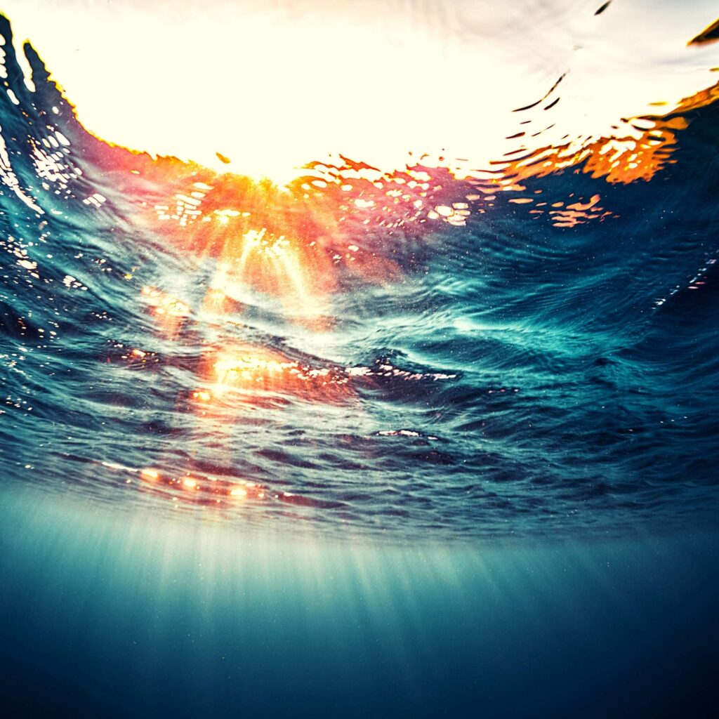 Ervas Medicinais para Pescadores