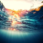 Ervas Medicinais para Pescadores