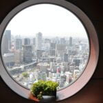 Ervas Medicinais Modernas