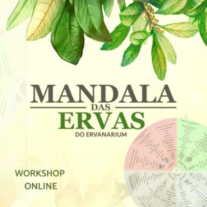 Workshop online