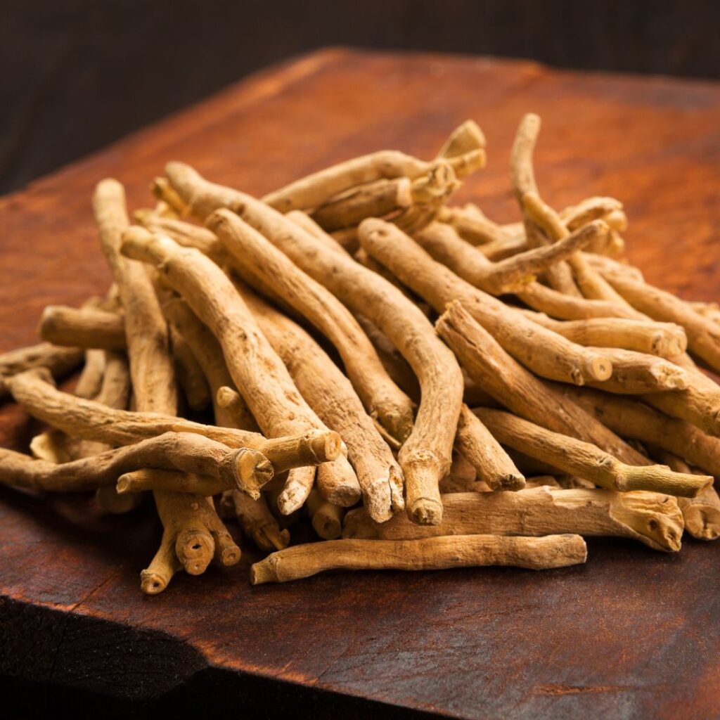 Ashwagandha é uma das ervas mais usadas no Ayurveda