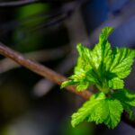 Ayurveda 4 estações