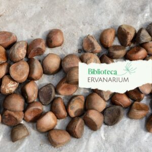 O óleo de Andiroba tem propriedades muito poderosas.