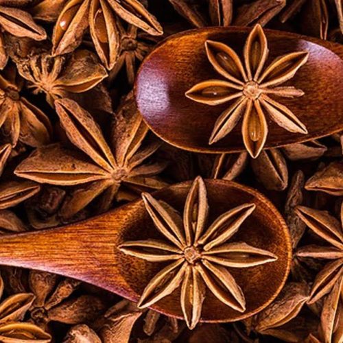 O anis estrelado é uma das plantas medicinais expectorantes.