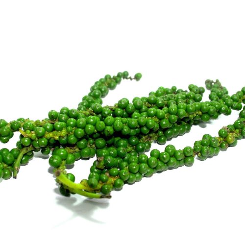 Pimenta Preta Planta Medicinal