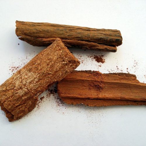 Quina planta medicinal