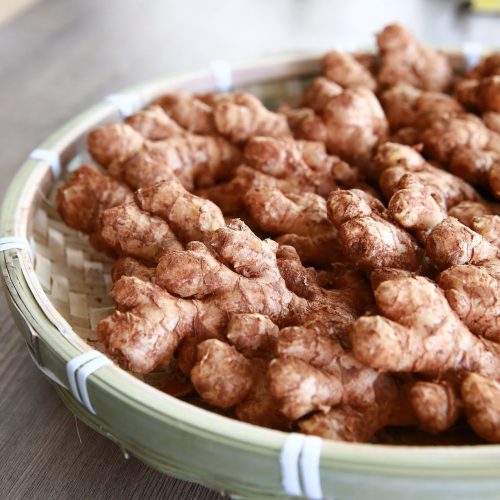 O gengibre é uma das plantas medicinais do oriente, mais usada no ocidente.